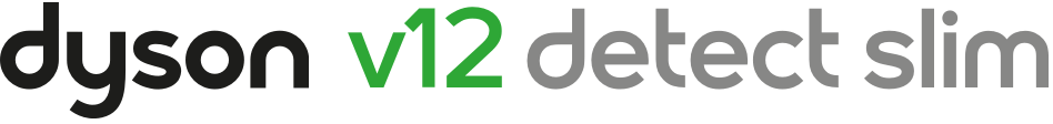 Dyson V12 detect Detect slim logo